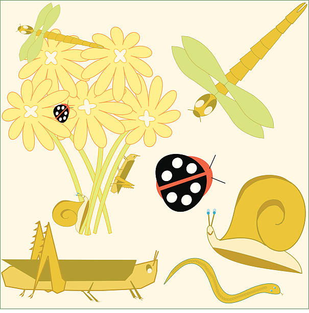 ilustrações, clipart, desenhos animados e ícones de vetor garden variedade de insetos e criaturas - flowerbed aerial