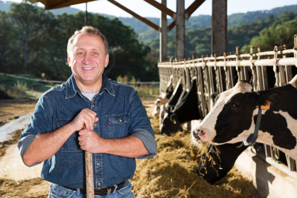 istock senior man owner of dairy farm 1048793970