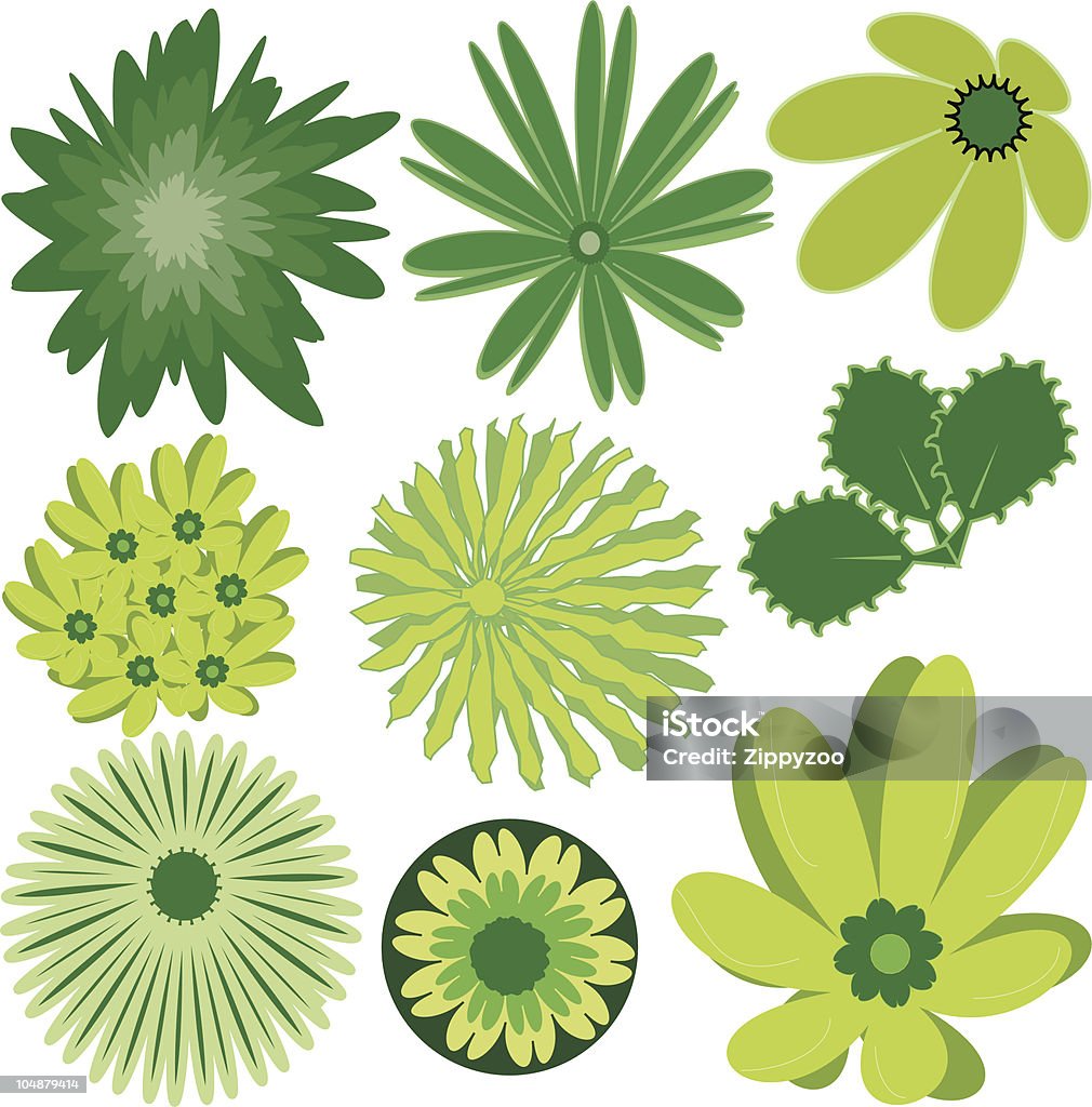 Plants 01  (Vector) Plants and leaves, cactus & fern/palm leaves. Colours & size can be changed.  Cactus stock vector