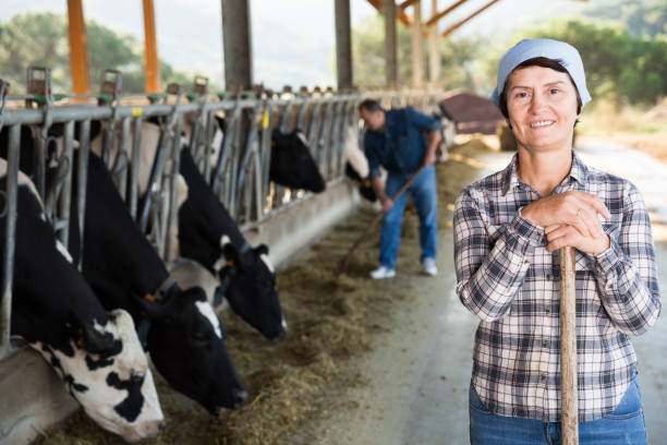 istock Mature female worker at cowshed 1048794246