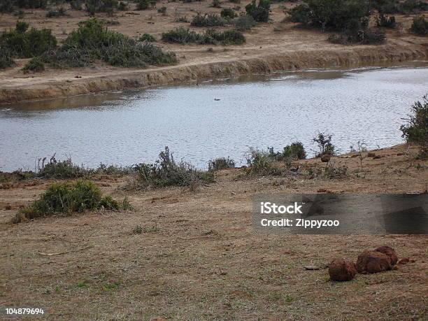 Giù Al Annaffiare Foro - Fotografie stock e altre immagini di Acqua - Acqua, Addo, Africa