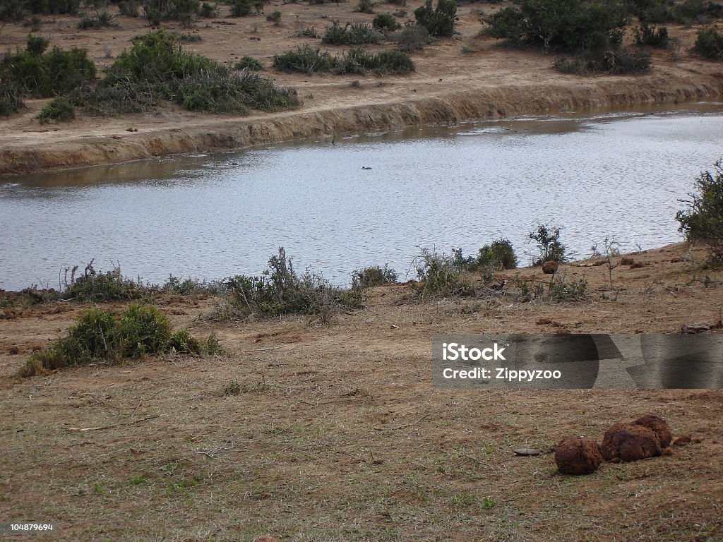 Baixo a Regar buraco. - Royalty-free Addo Foto de stock