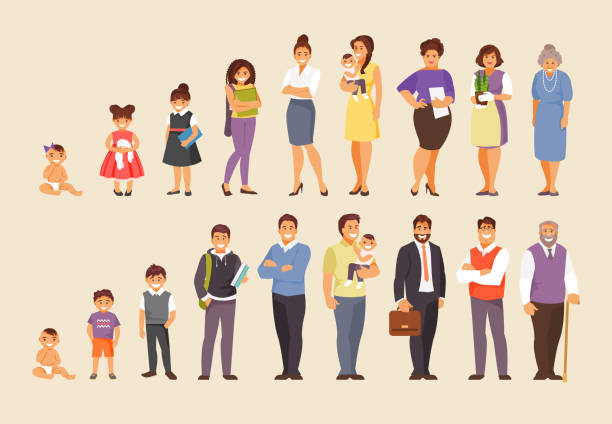 Growing stages vector Stages of aging men and women. People of different ages. Big vector set teenage girl with grandmother stock illustrations