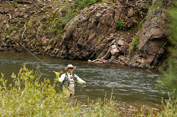 istock Fly Fishing on the Conejos River 104880842