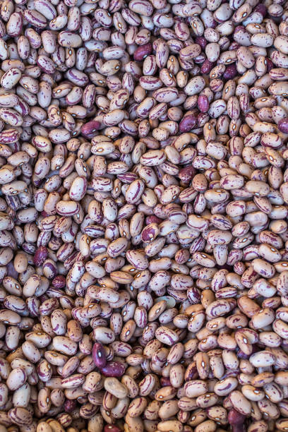istock Group beans like vegetarian food. 1048809898