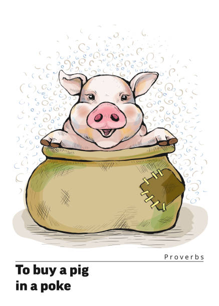 A series of postcards with a piglet. Proverbs and sayings. To buy a pig in a poke Series of postcards with a piglet. Proverbs and sayings per month. To buy a pig in a poke. The sack opened, and the piggy sits there. Hand-drawn illustration. Cartoon. Watercolor style the boar fish stock illustrations