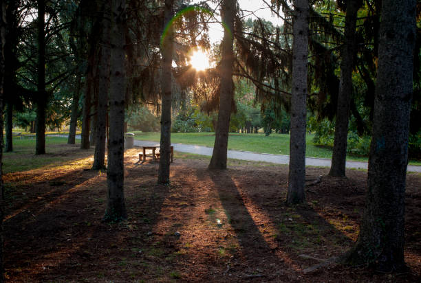 istock Park in the morning 1048822046