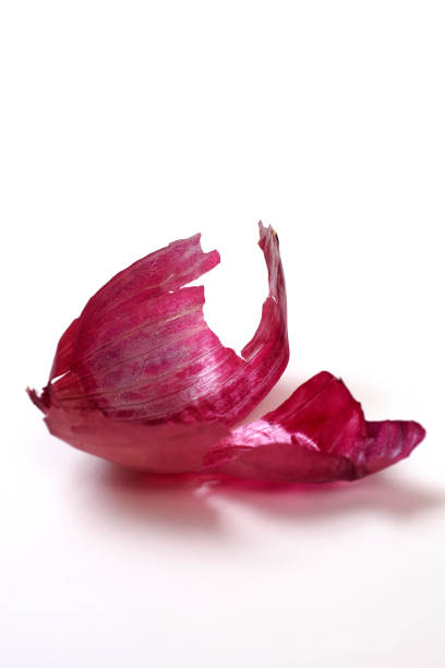 rote zwiebel haut, isolated on white - onionskin stock-fotos und bilder
