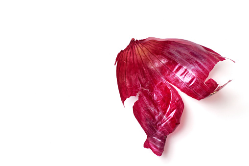 Red onion skin isolated on white background.  Design element. Beauty in nature. Waste management concept. Abstract design concept.
