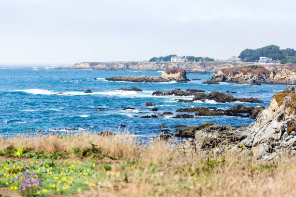 istock Coastal scene with breakers hitting rocks and flowers in the foreground 1048831668