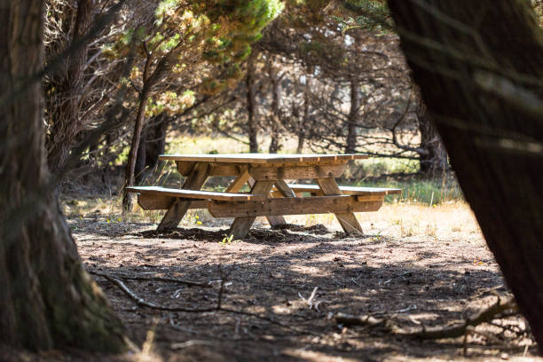 istock Picnic bench hidden in a clearing of trees 1048831676