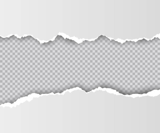 vektor realistisches loch in papier gerissen mit schatten isoliert auf transparentem hintergrund - buchseite stock-grafiken, -clipart, -cartoons und -symbole