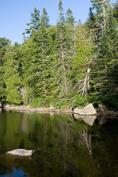 istock Fir trees by Sand River, Lake Superior 104883193