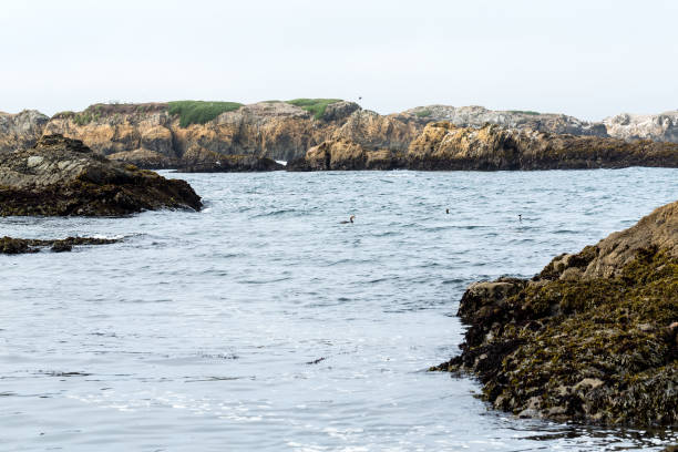 istock Piles of refuse forming reefs at glass beach 1048832028