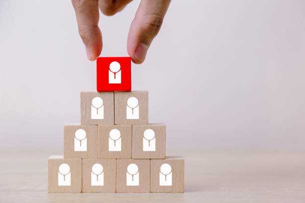 istock Hand putting wood cube block on top pyramid,human resource management and recruitment business concept, Business Strategy to success. 1048838268