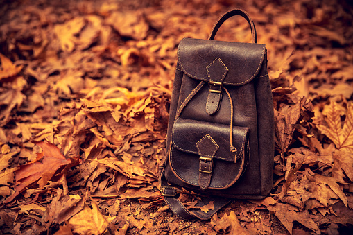 Stylish leather brown backpack on the ground covered with old dry tree leaves in the park, active tourism in autumn season, back to school concept