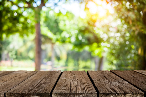 hintergründe: leere holztisch mit üppigen laub im hintergrund - diminishing perspective spring photography tree stock-fotos und bilder