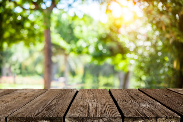 Backgrounds: Empty wooden table with green lush foliage at background