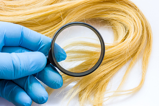 Doctor dermatologist or trichologist diagnoses health patient hair with magnifying glass on white background. Concept photo of diagnosis of diseases of hair, split ends, weak, breakable falling hair