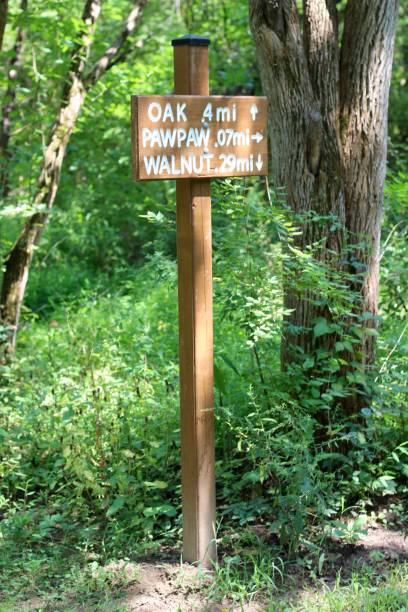 istock Wooden Trail Sign 1048848802