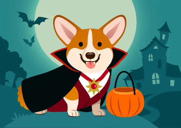 Vector illustration of Halloween corgi dog in vampire costume against spooky background: night scene with full moon, haunted house, cemetery tombstones, flying bats. Funny humorous Halloween pet theme poster, greeting card.