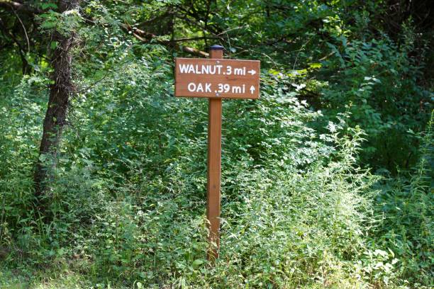 istock Trail Sign in Weeds 1048856282