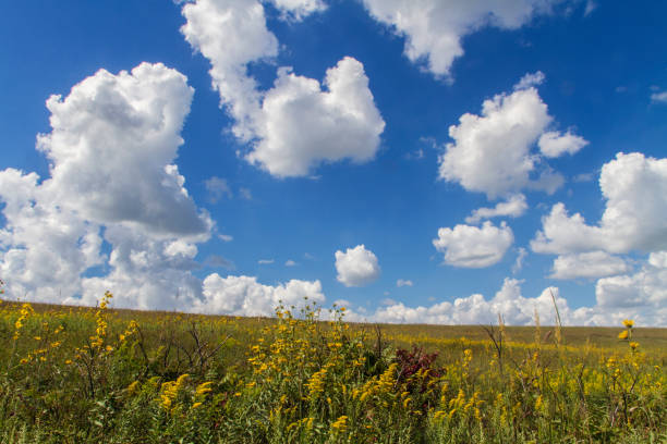 cumulus clouds and blue sky with autumn vegetation in the Flint Hills of Kansas