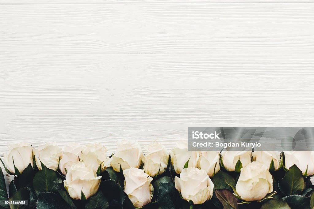 Rosas Blancas Sobre Fondo De Madera Plano Ponen Con Espacio Para Texto  Tarjeta De Felicitación Floral Invitación De La Boda O Concepto Del Día De  Madre Feliz Elegante Borde De Flores Blancas