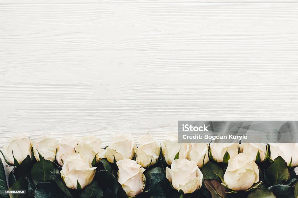 Rosas Blancas Sobre Fondo De Madera Plano Ponen Con Espacio Para Texto Tarjeta De Felicitación Floral Invitación De La Boda O Concepto Del Día De Madre Feliz Elegante Borde De Flores Blancas Rosas Blancas Sobre Fondo De Madera Plano Ponen Con Espacio Para Texto Tarjeta De Felicitación Floral Invitación De La Boda O Concepto Del Día De Madre Feliz Elegante Borde De Flores Blancas