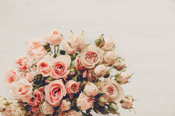 istock Pink small roses bouquet on white background isolated.  Top view with space for text. Floral greeting card mockup. Wedding invitation,happy mother or Valentine day. Vintage tone 1048866940
