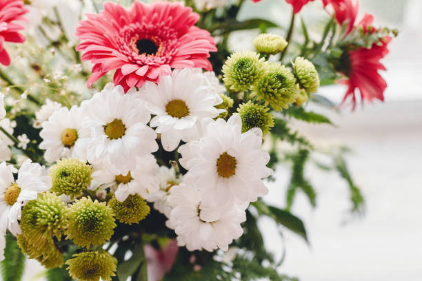 istock Pink gerbera,white daisy and green chrysanthemum in beautiful bright  bouquet at rustic window in light. Wedding invitation,happy mother day or Valentine day concept. Hello spring 1048867900