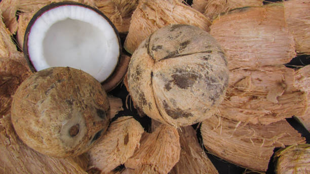 istock fruit of the coconut 1048872910