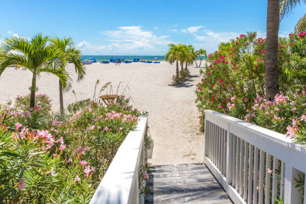 istock Boardwalk on beach in St. Pete, Florida, USA 1048873098