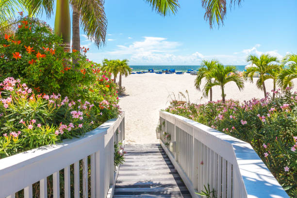 istock Boardwalk on beach in St. Pete, Florida, USA 1048873102