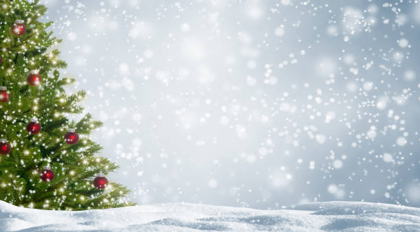 istock christmas fir in white snowy landscape 1048876534