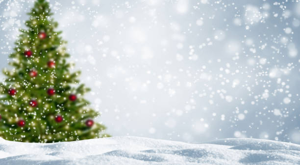 istock blurred christmas tree in white snowy landscape 1048876592