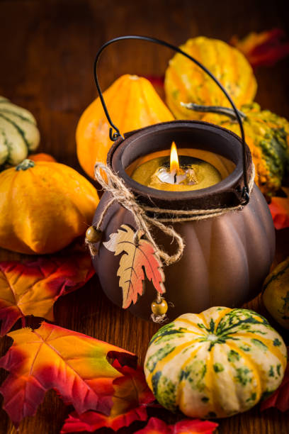 istock Thanksgiving and Halloween pumpkins still life 1048876858