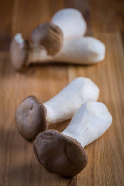 istock Delicious raw king oyster mushrooms 1048877102