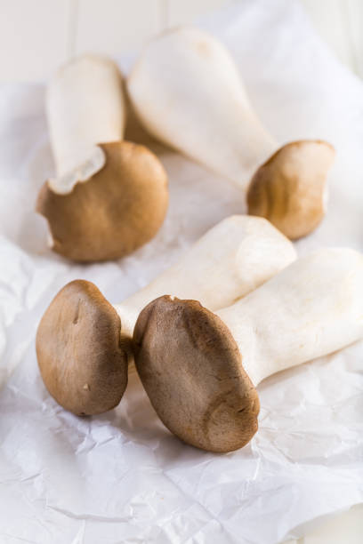 istock Delicious raw king oyster mushrooms 1048877126