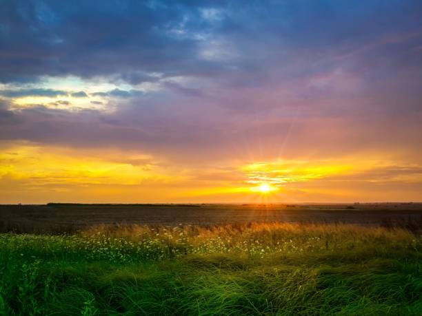 istock Golden sunset light pushes through green grass under bluish cloudy sky with warm yellow tones 1048886138