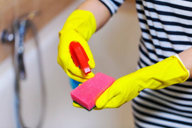 istock Woman with cleaning accessories 1048887198