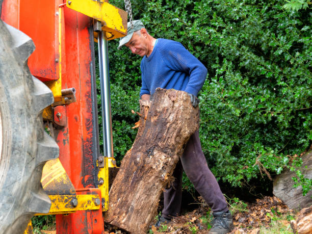 istock hydraulic log splitting machine attached to a tractor the machine is being used to split large wooden logs 1048897584