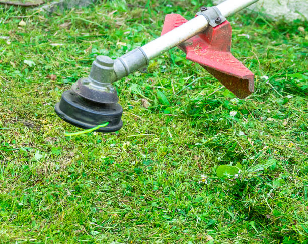 istock Cutting grass in garden with the trimmer 1048902646
