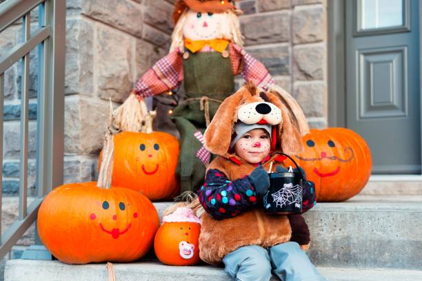 симпатичный маленький ребенок, одетый в костюмы хэллоуина собаки - child autumn scarecrow decoration стоковые фото и изображения
