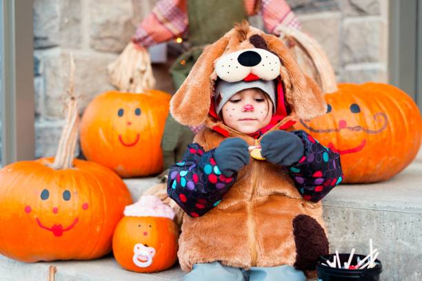 симпатичный маленький ребенок, одетый в костюмы хэллоуина собаки - child autumn scarecrow decoration стоковые фото и изображения