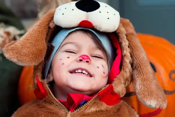 Photo of Cute Little child dressed in dog halloween costumes