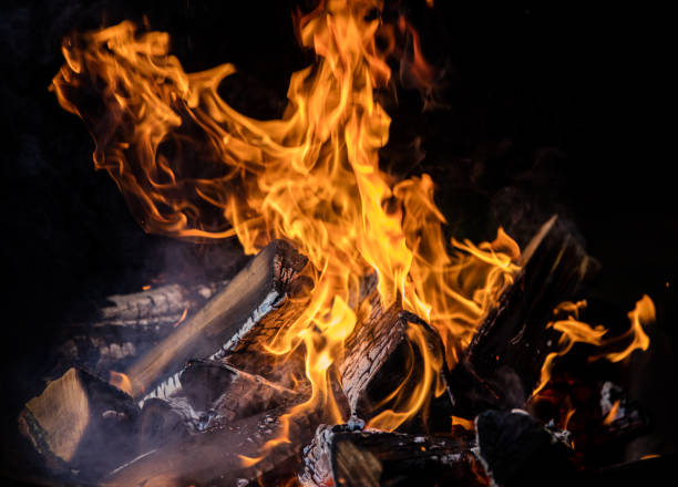 istock Burning wooden logs in fire, campfire on black 1048922460