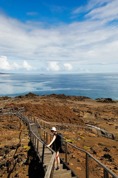 turismo de senderismo en la isla de bartolomé en las islas galápagos - isla bartolomé fotografías e imágenes de stock