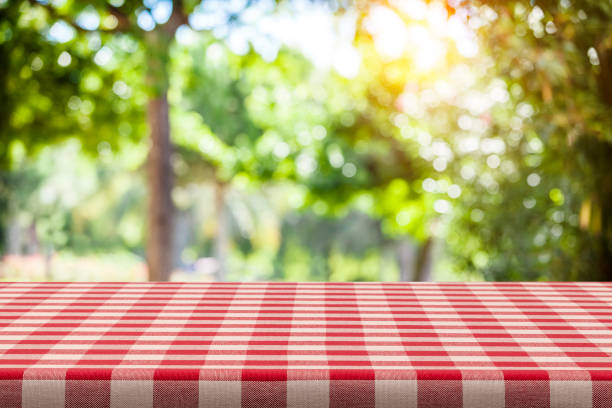 Backgrounds: Red and white checkered tablecloth with green lush foliage at background Empty table covered with red and white checkered tablecloth with defocused lush foliage at background. Ideal for product display on top of the table. Predominant color are green and red. DSRL studio photo taken with Canon EOS 5D Mk II and Canon EF 100mm f/2.8L Macro IS USM. picnic stock pictures, royalty-free photos & images