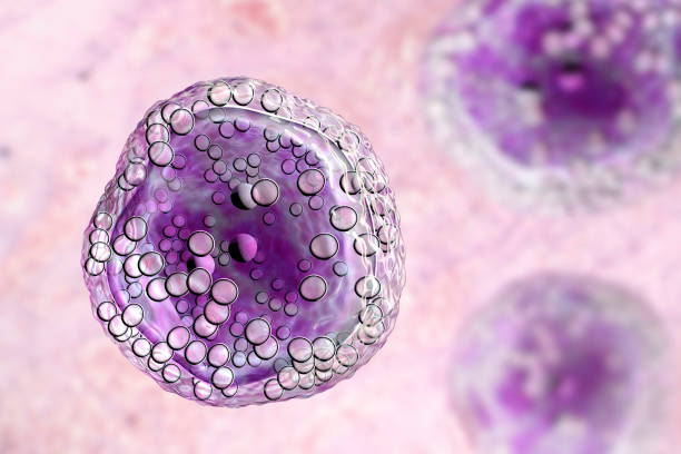 la cellula linfoma di burkitt è un cancro del sistema linfatico - microscopio illustrazioni foto e immagini stock